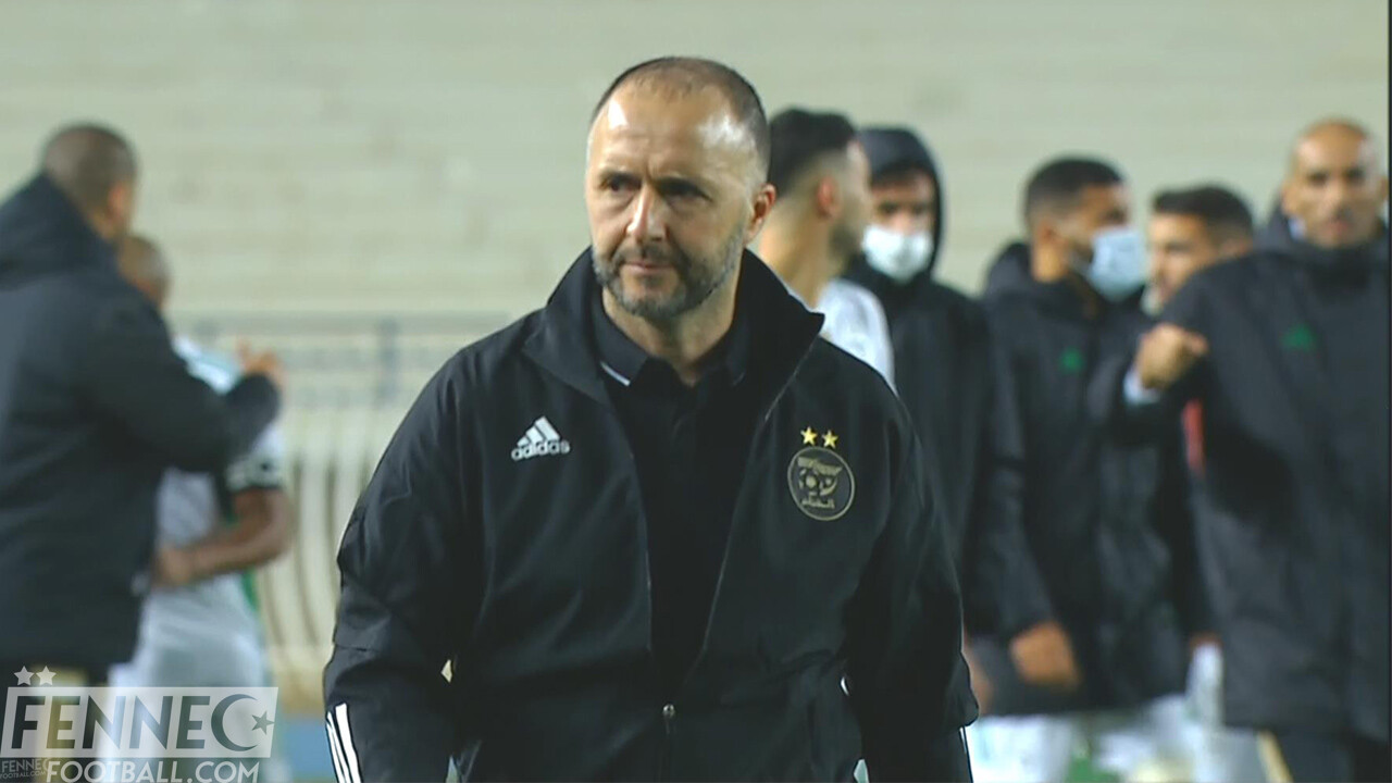 Belmadi met les bouchées doubles : un nouveau renfort à l'EN