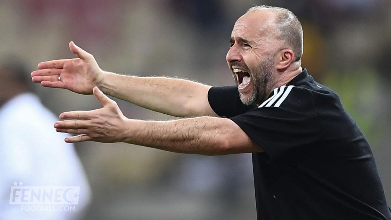 Un célèbre journaliste clashe violemment Belmadi : " Il répond impoliment "