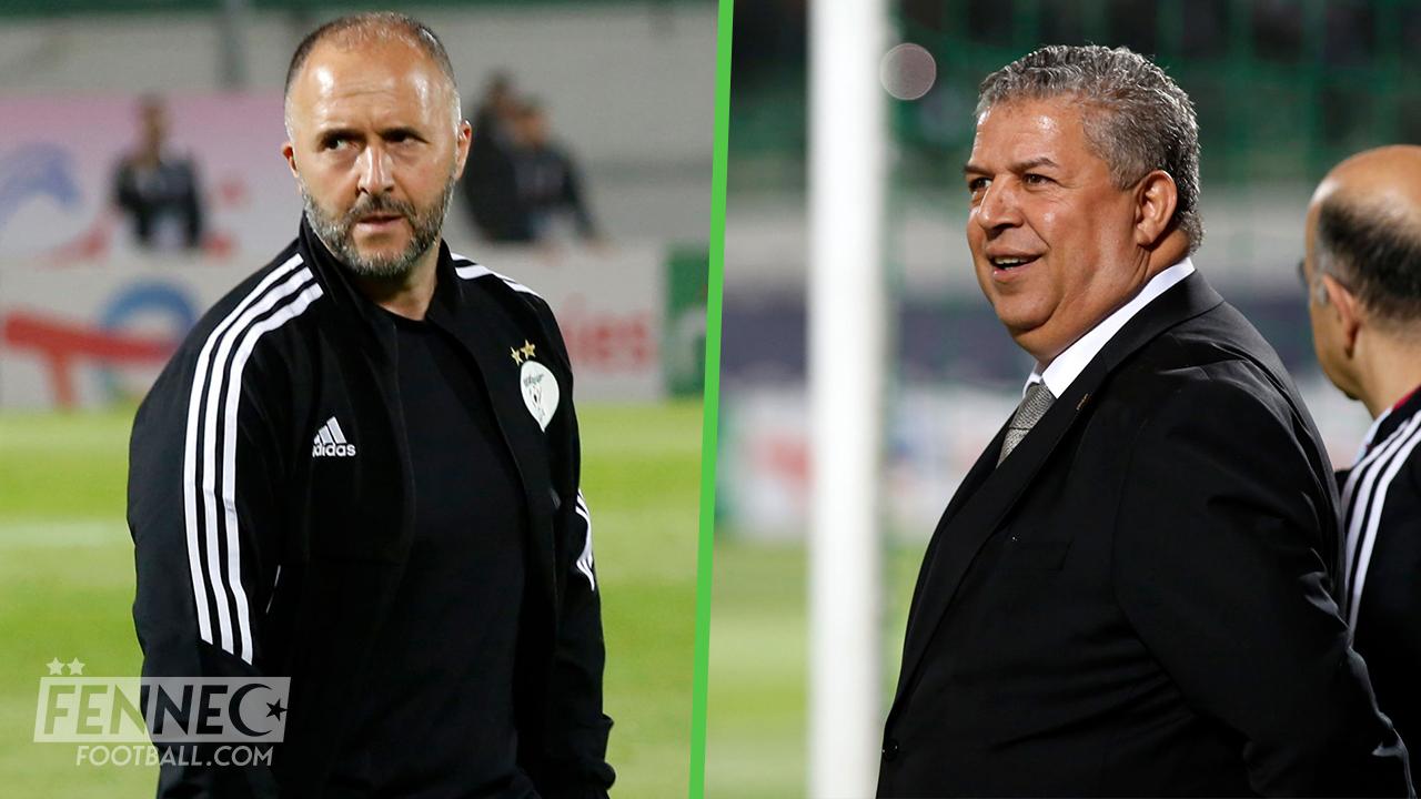 Démission de Djamel Belmadi : Charaf Eddine Amara s'en mêle !