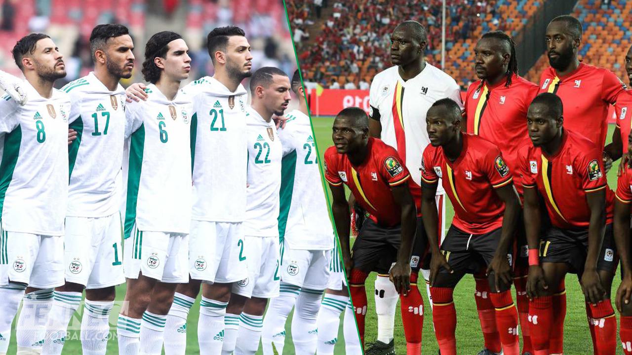 Paul Put secoue l'Algérie avant le match face à l'Ouganda