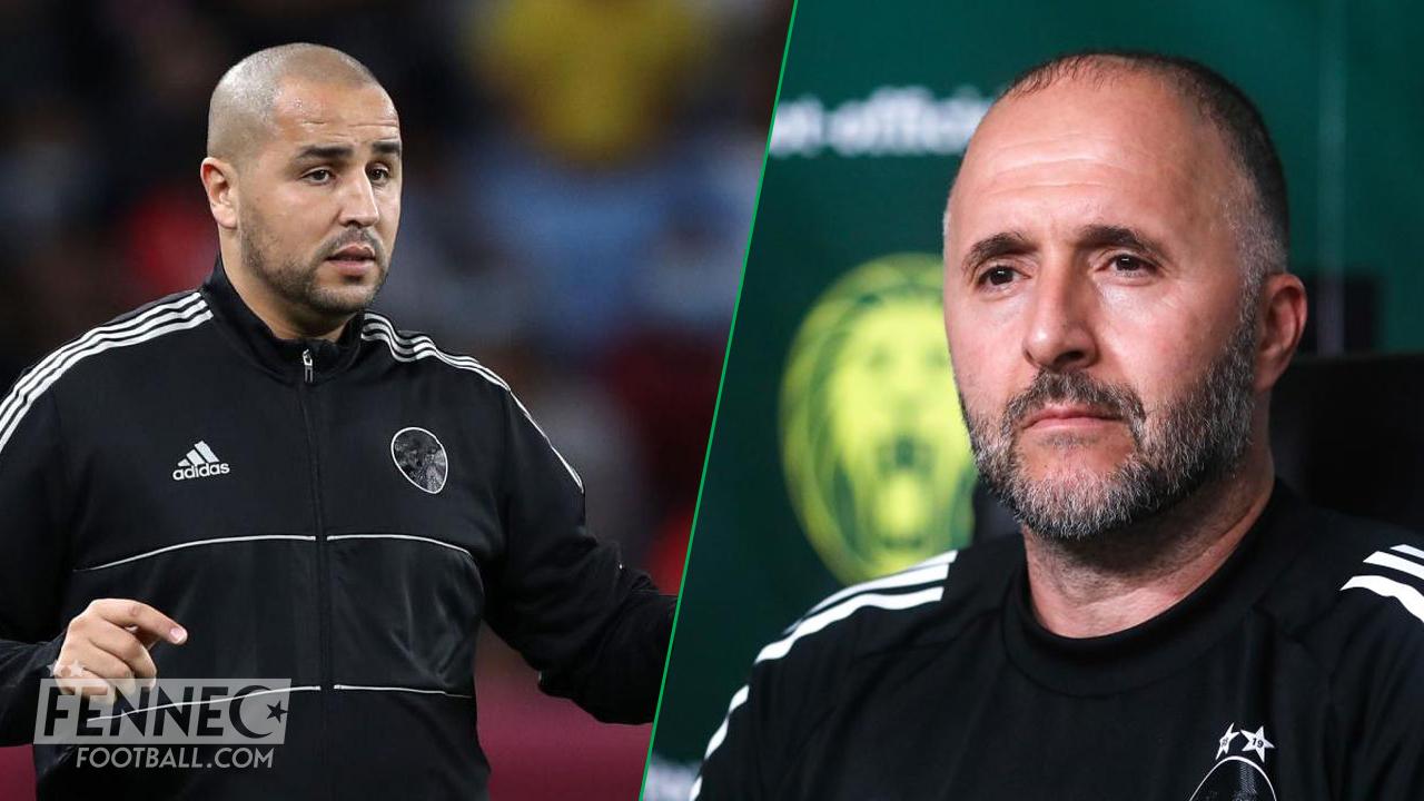 Détrôner Belmadi pour placer Bougherra : les Algériens s'enflamment
