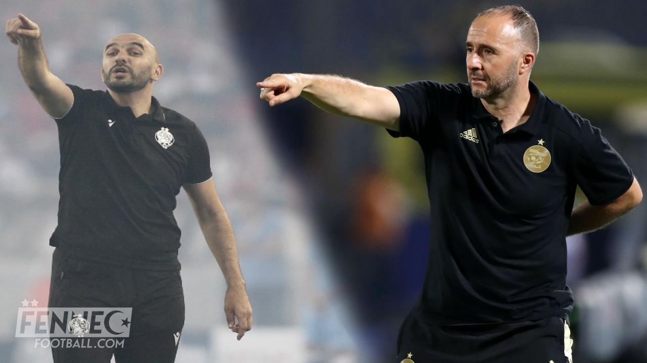 CAN : Walid Regragui met au défi Djamel Belmadi