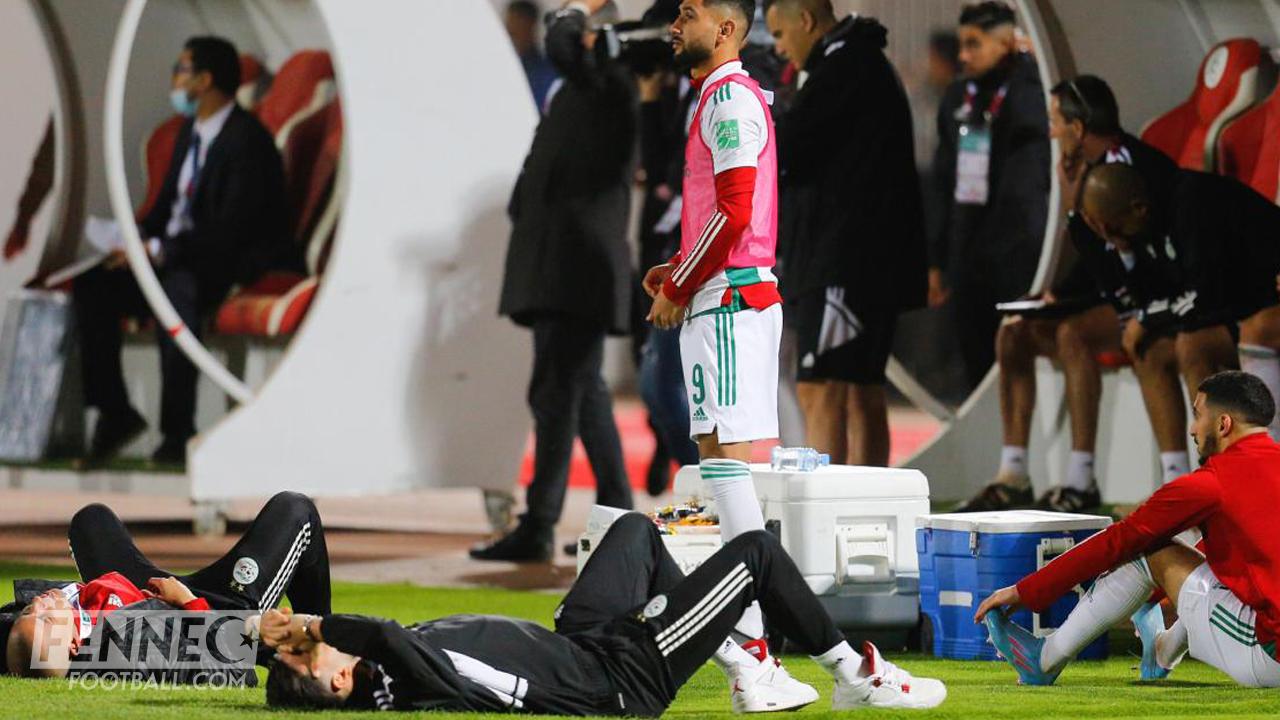 Tweet de la FIFA sur la coupe du Monde : les Camerounais narguent l'équipe d'Algérie