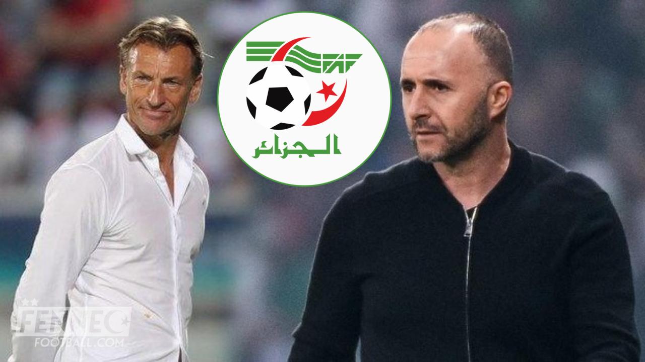 Hervé Renard à la place de Djamel Belmadi ? La FAF aurait pris sa décision !