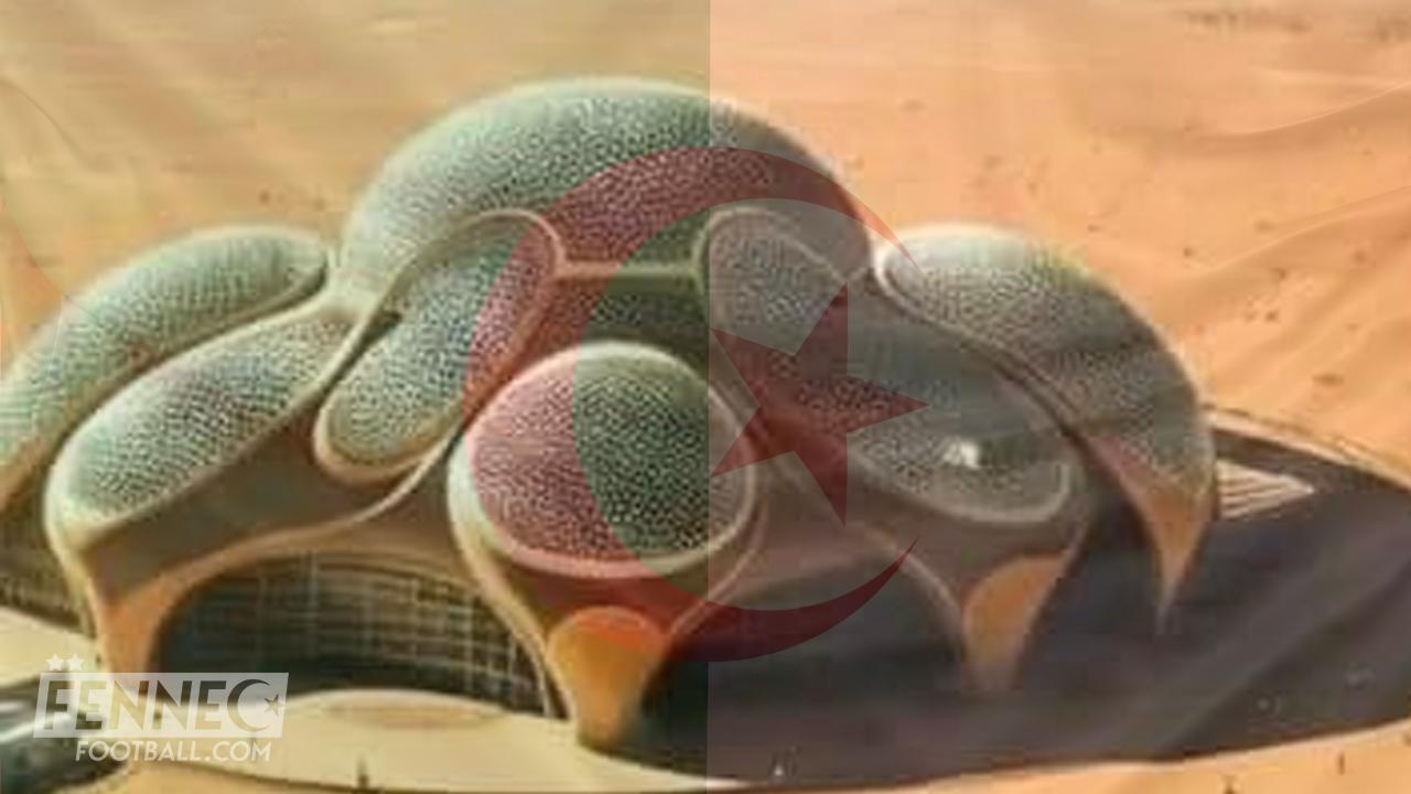 Un vaisseau extra-terrestre à Bechar : le nouveau stade fait polémique !