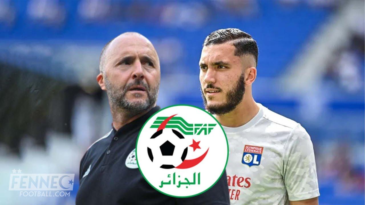 Rayan Cherki en équipe d'Algérie ? De nouveaux détails viennent de fuiter !