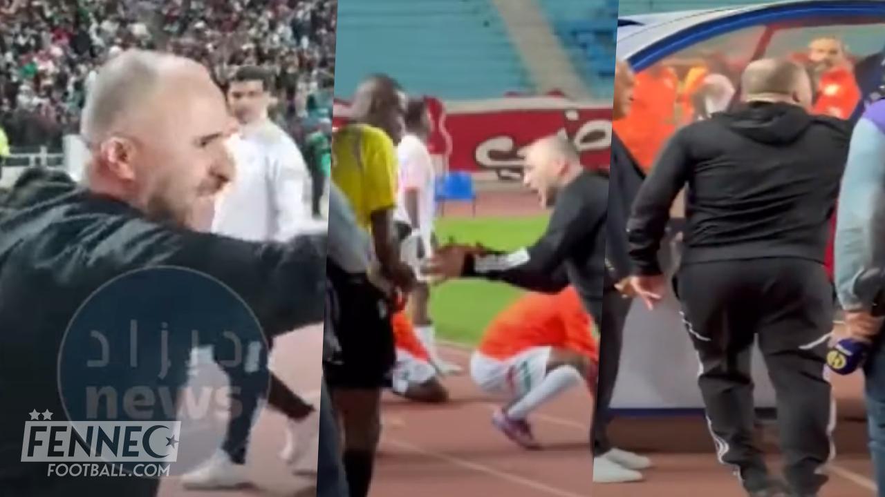 Niger Algérie (0-1) : Grosse embrouille entre Belmadi et l'arbitre après la fin du match ! (Vidéo)