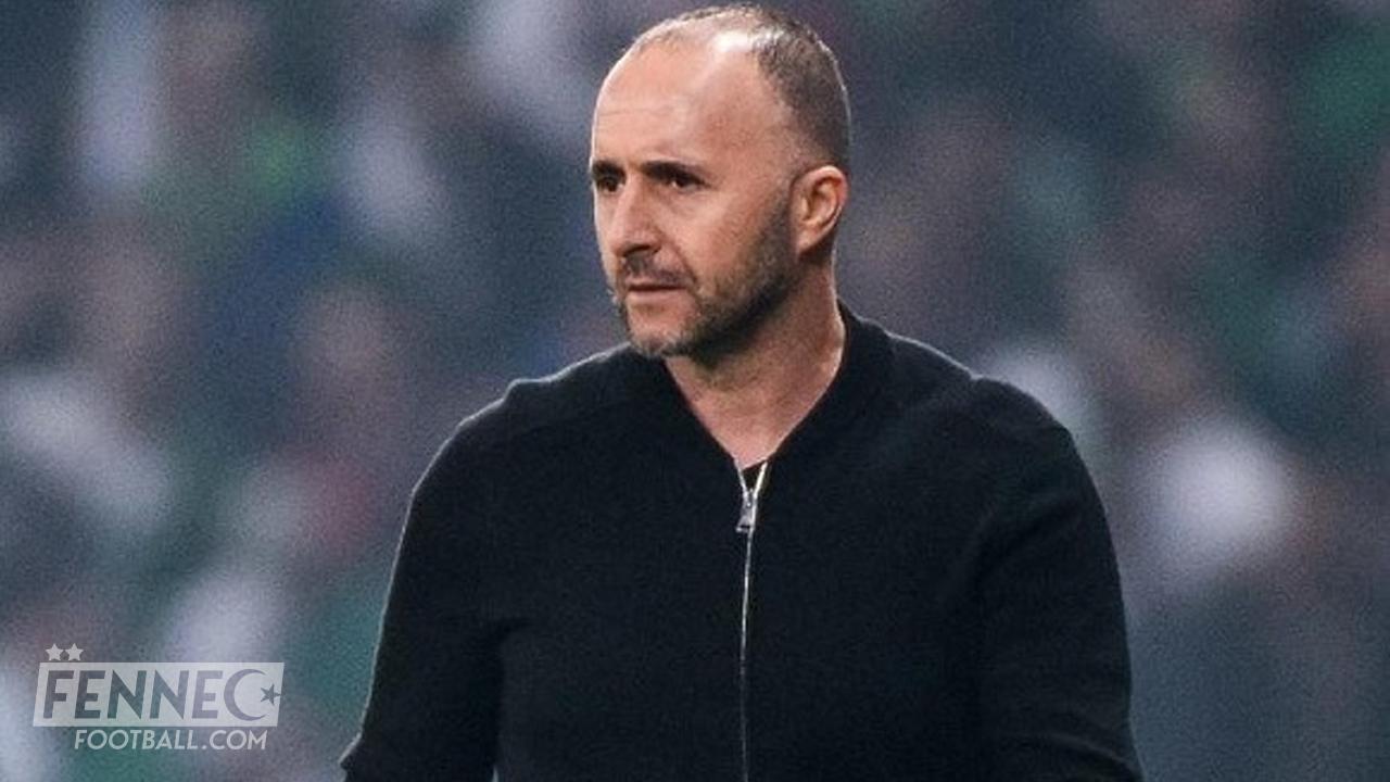 Une découverte de Djamel Belmadi bat un record dingue en Europe