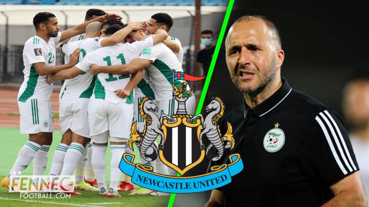 Mercato : après Riyad Mahrez, Newcastle fonce sur un autre homme fort à Djamel Belmadi !