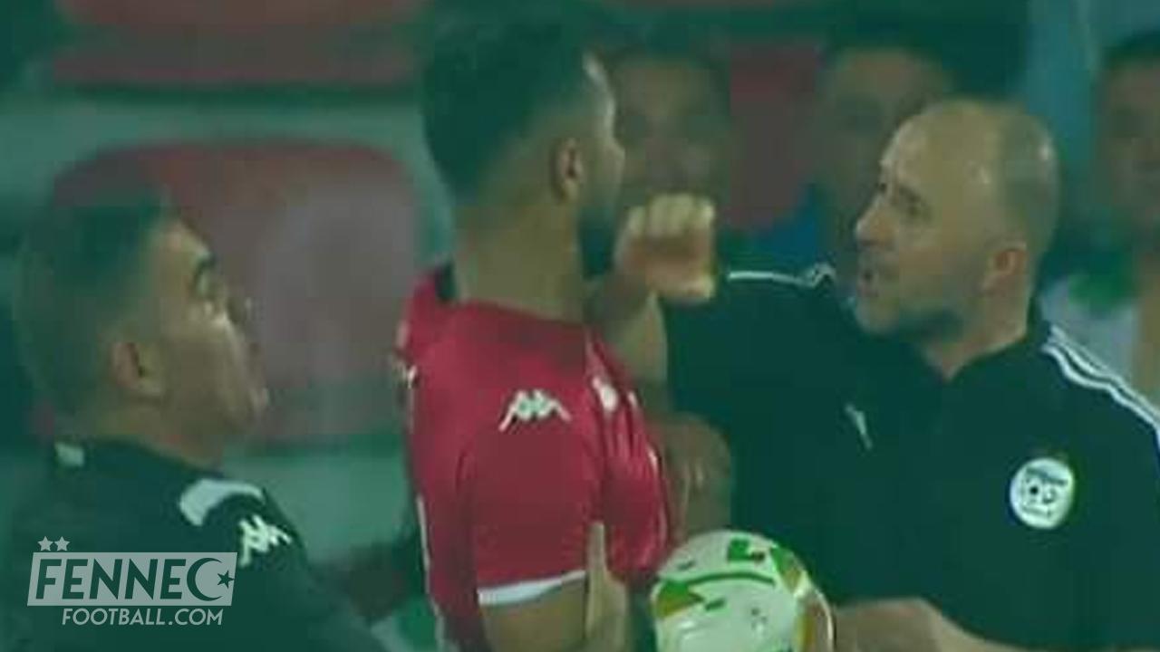 Algérie Tunisie : Belmadi en arrive aux mains avec un joueur tunisien (Vidéo)