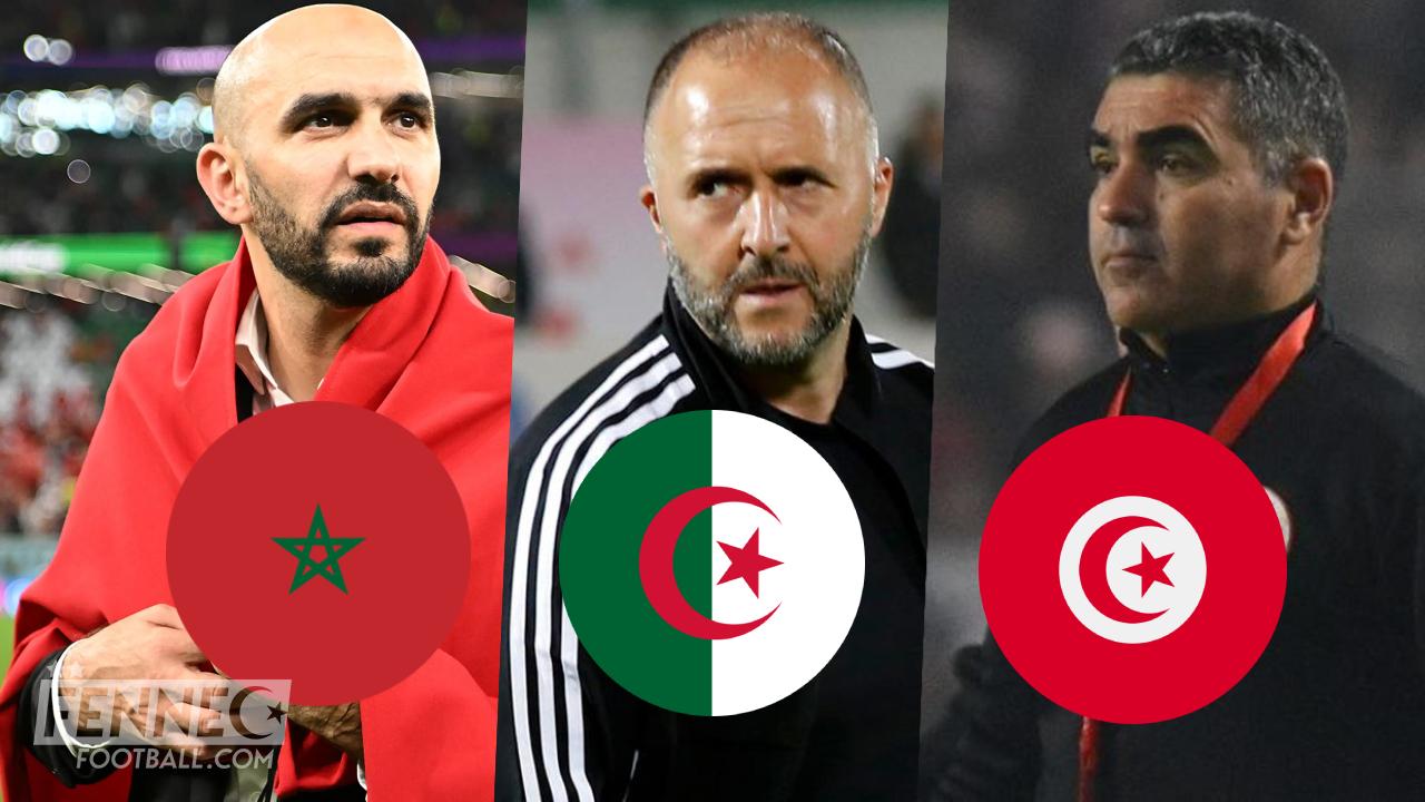Nombre de participations à la CAN : qui fait mieux entre l'Algérie, le Maroc ou la Tunisie ?