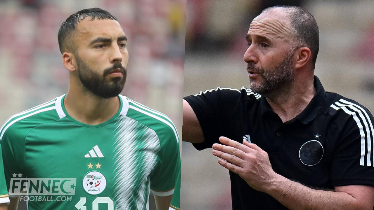 Découvert par Belmadi, Himad Abdelli pourrait sauver Petkovic