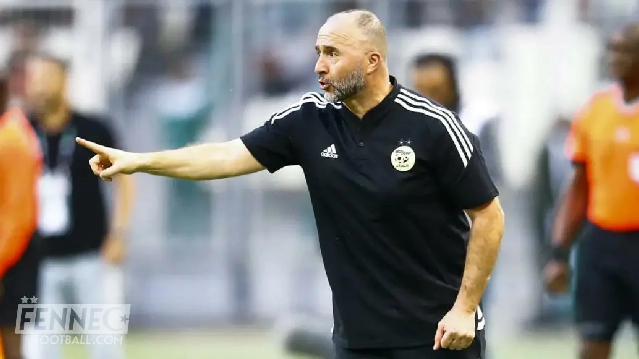 Equipe d'Algérie : La FIFA braque les projecteurs sur l'exploit de Djamel Belmadi !