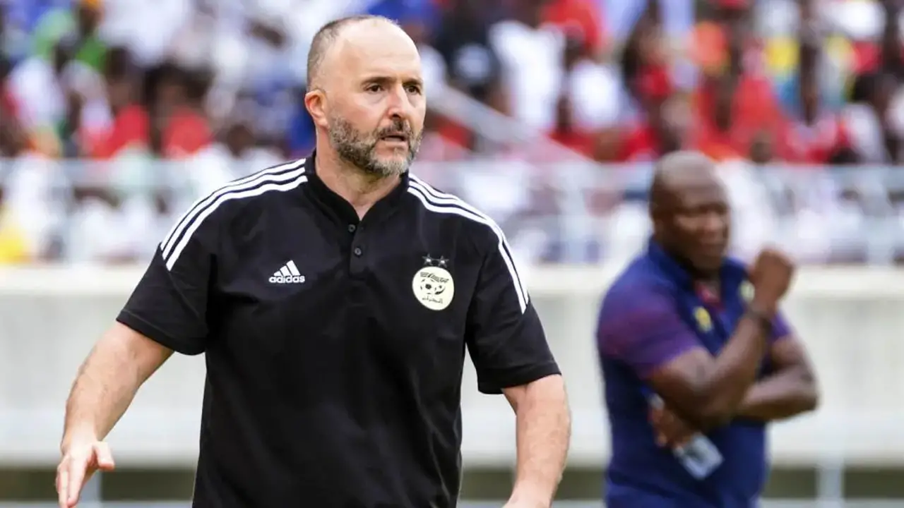 Ni Renard ni Halilhodzic ! Voici qui remplacerait Belmadi