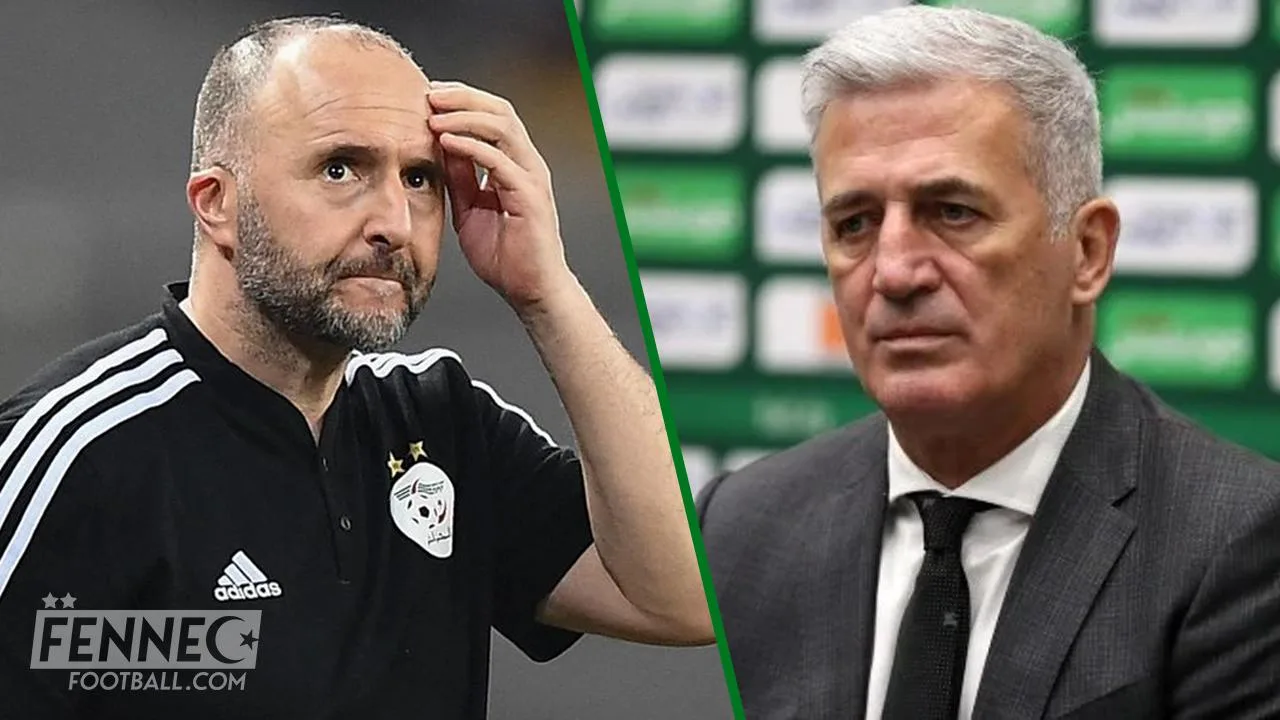 Vladimir Petkovic pourrait bien jouer un très mauvais tour au chouchou de Belmadi