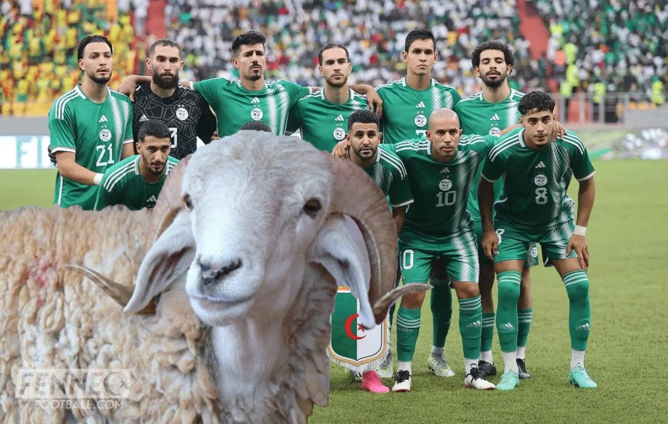 Prix élevés des moutons : un joueur de l'équipe d'Algérie fait un geste geste magnanime aux Algériens