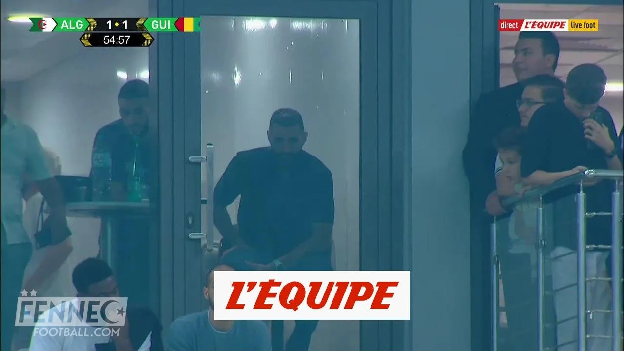Algérie Guinée : une scène laisse sans voix Karim Benzema (Vidéo)