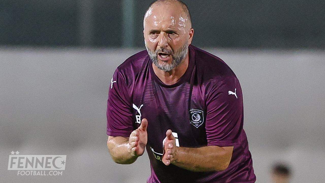 "Je ne pense pas..." : Belmadi vide son sac
