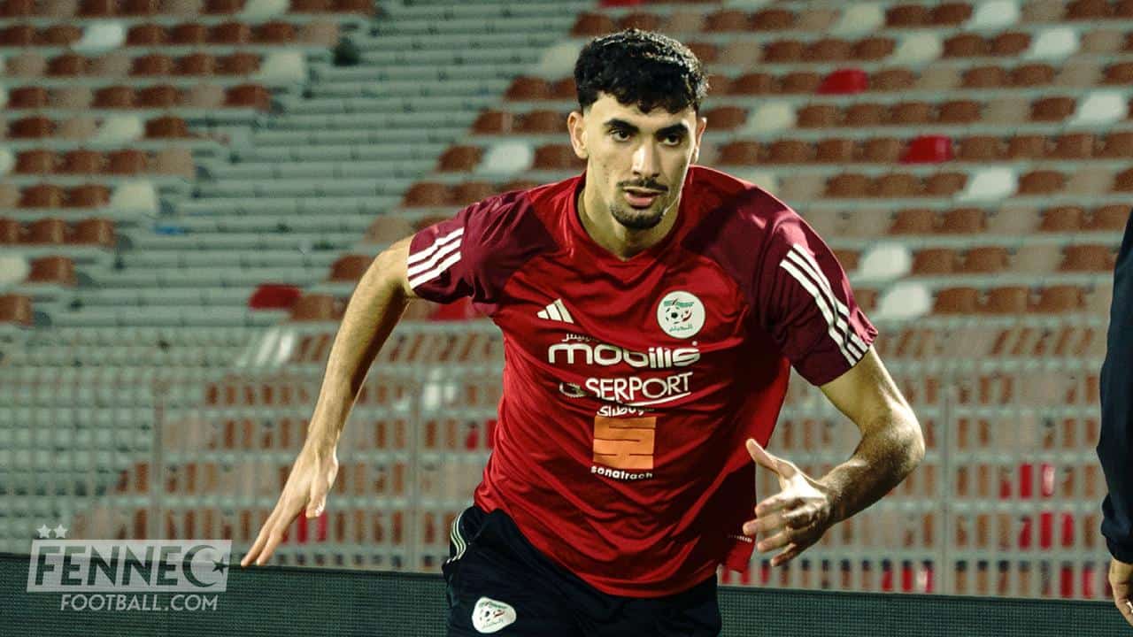 En quoi est ce que Redouane Berkane pourrait s'avérer utile au Maroc ?