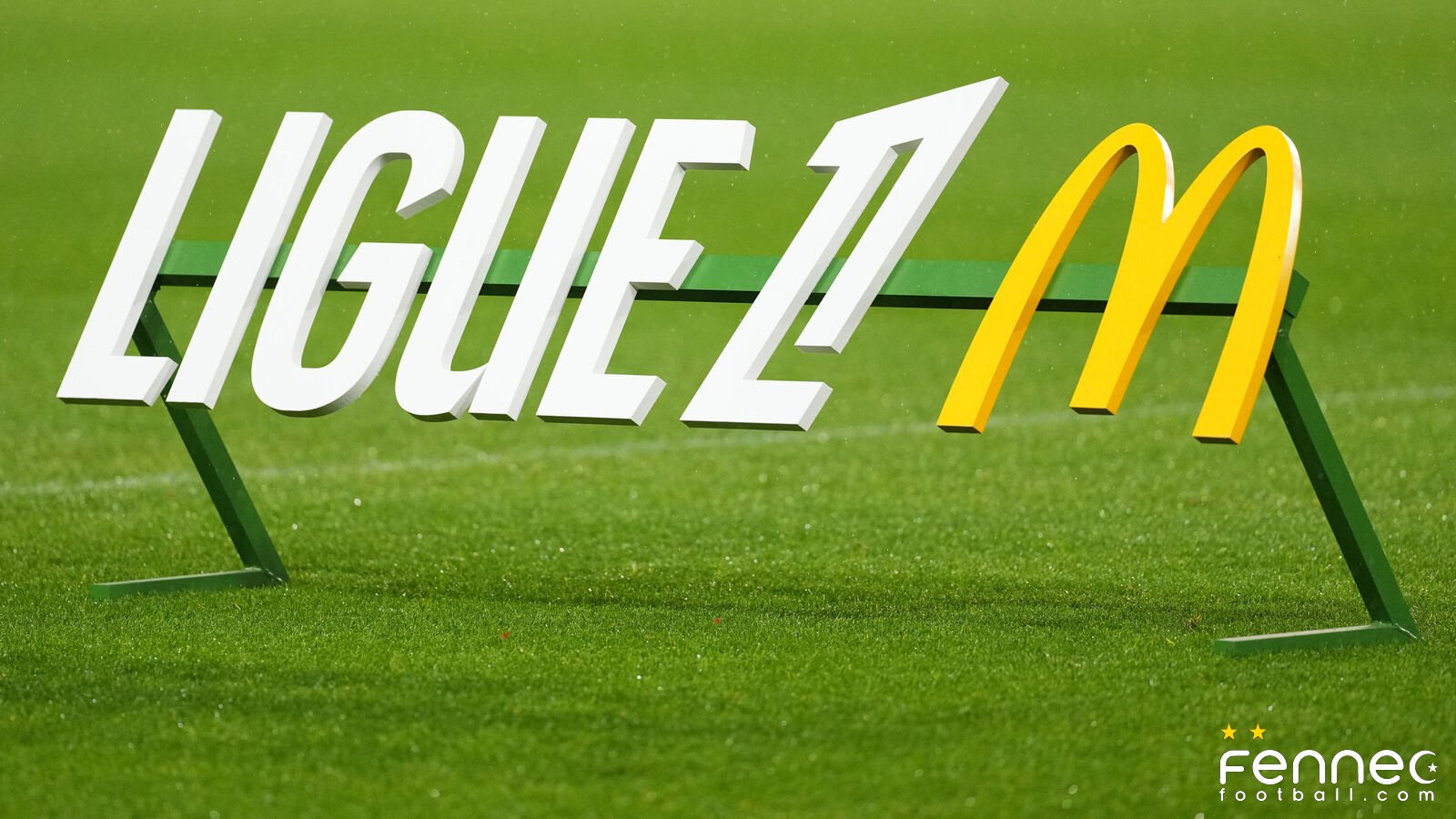Algérie : Un nouveau renfort de Ligue 1 toque à la porte
