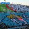 International algerien 7