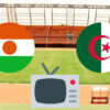 Niger Algerie