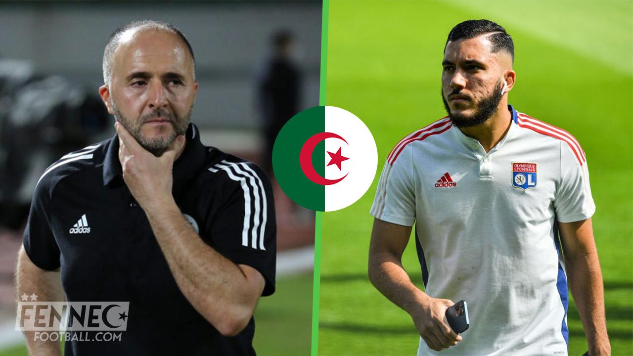 Rayan Cherki Belmadi Algerie