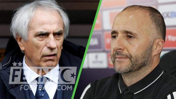 Djamel Belmadi Vahid Halilhodzic
