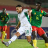 Algerie Cameroun