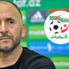 Djamel Belmadi Équipe d'Algérie