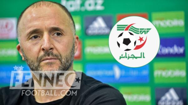 Djamel Belmadi Équipe d'Algérie