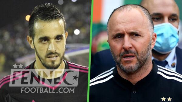 Malek Asselah Djamel Belmadi