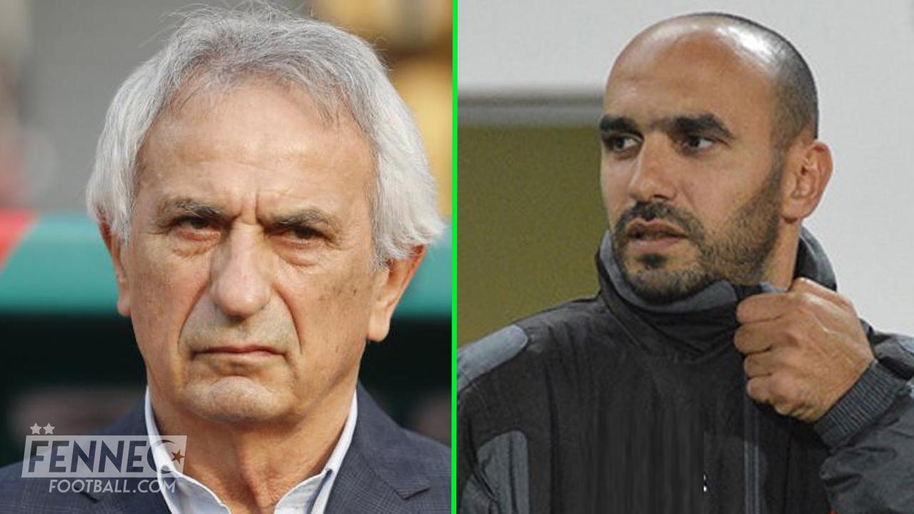 regragui halilhodzic