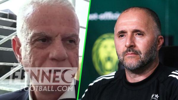zefizef Belmadi