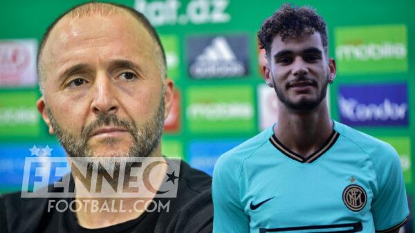 Djamel Belmadi Van Den Kerkhof