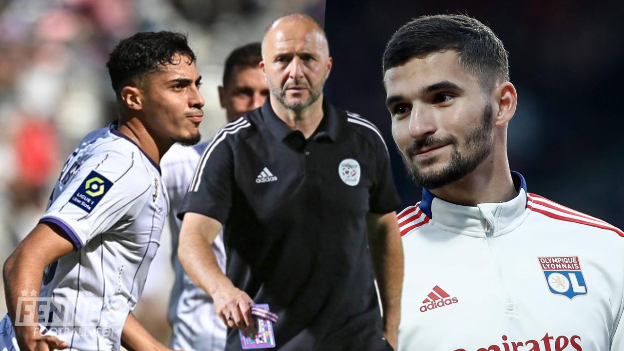 Belmadi Aouar Chaibi