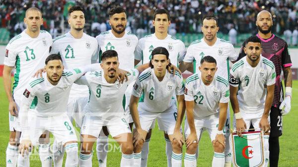 cadres equipe algerie