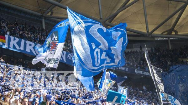 tifo schalke