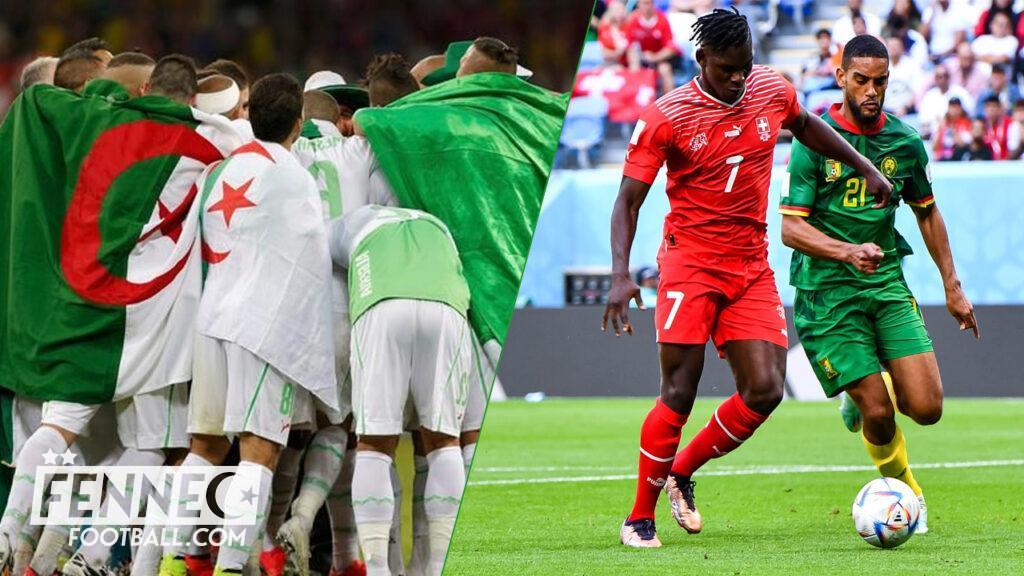 Coupe du Monde – Suisse Cameroun : l’Algérie s’incruste (Photo)