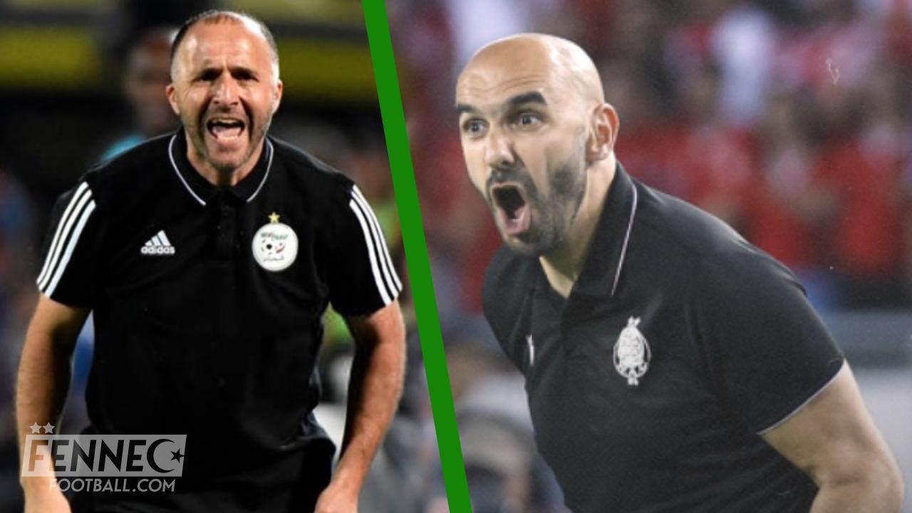 Belmadi Regragui