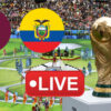 Coupe du monde streaming