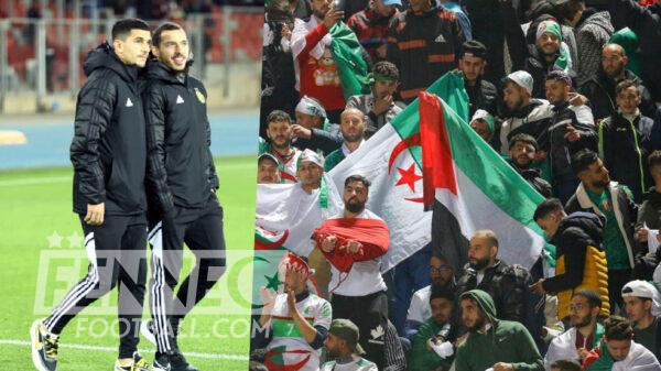 Supporters algeriens Ismael Bennacer
