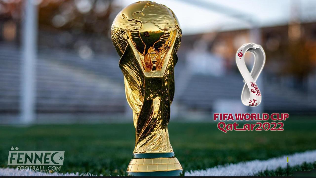 qatar coupe du monde