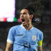 cavani coupe du monde