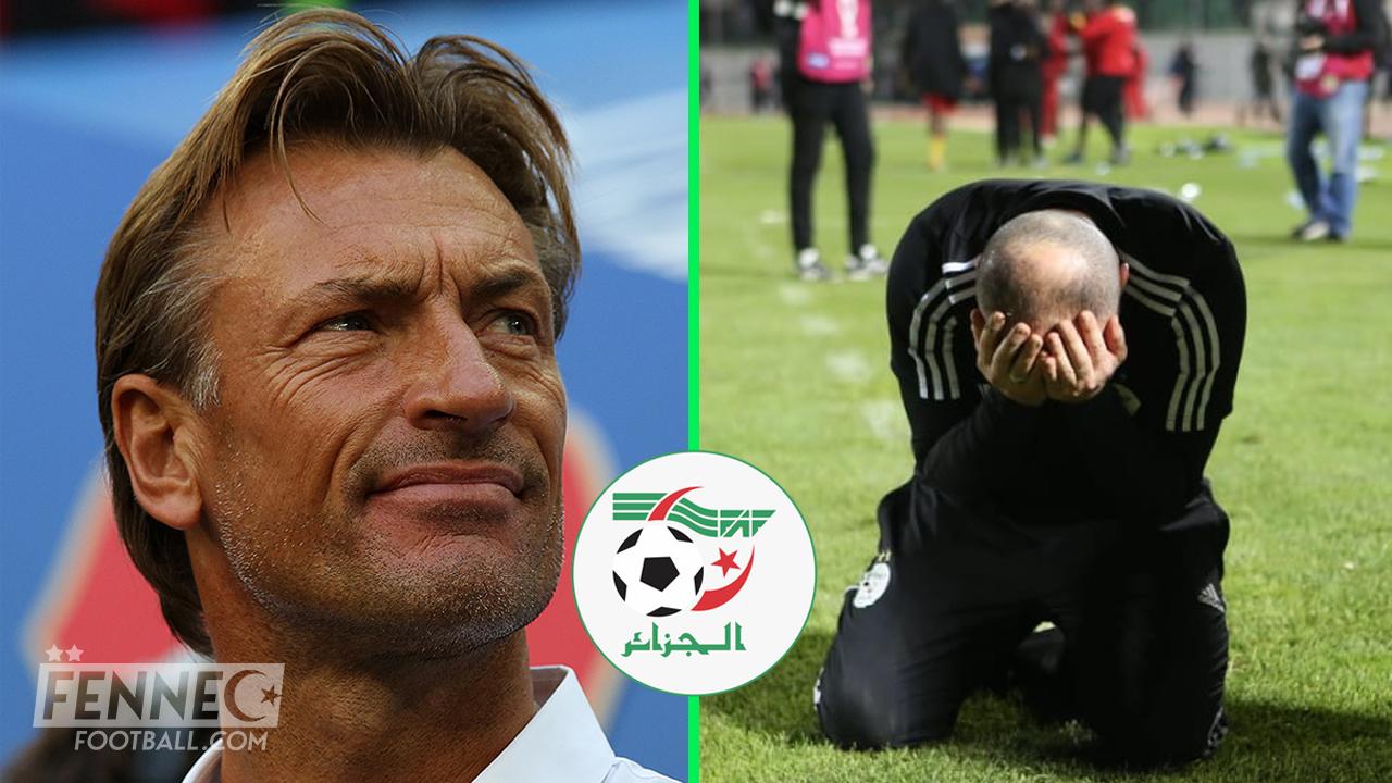 Renard équipe Algérie belmadi