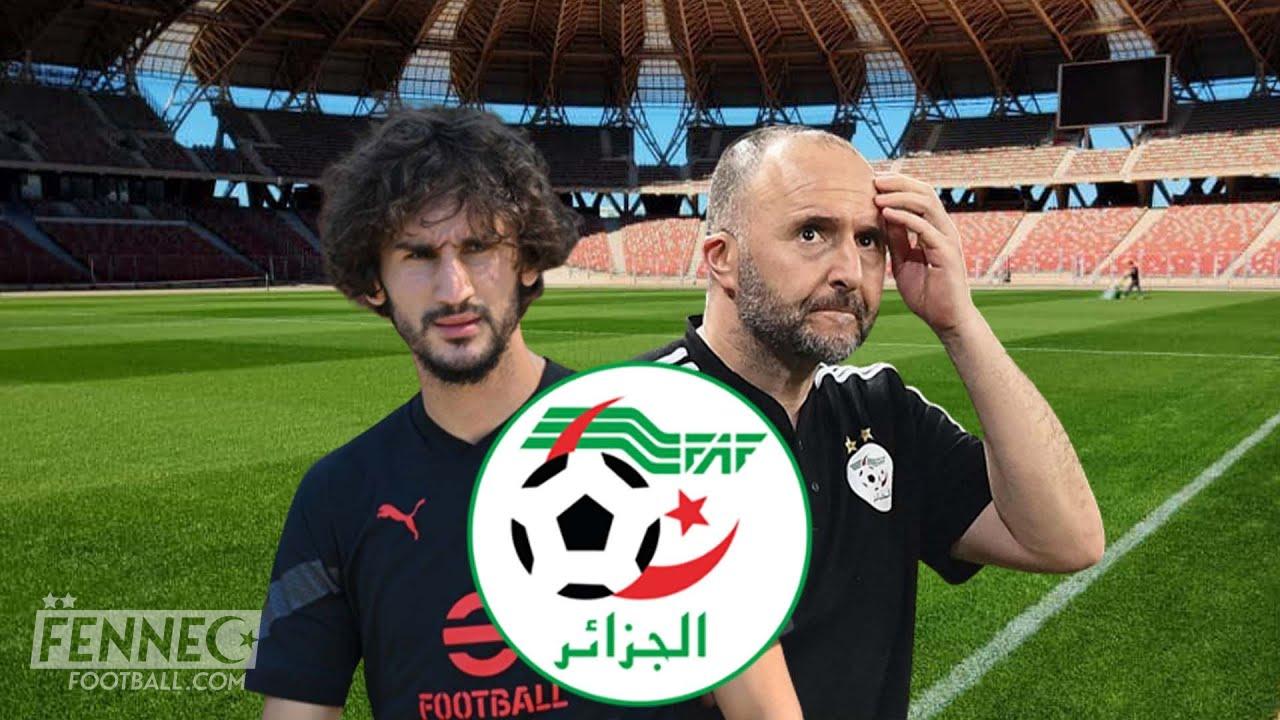 Belmadi Adli