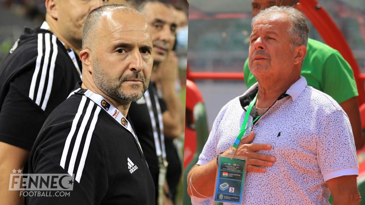 Algerie Niger Cavalli Belmadi