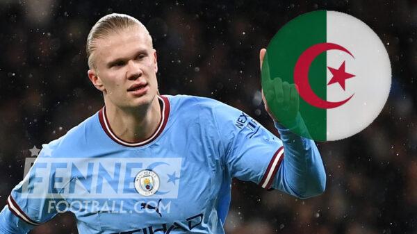 Haaland Algerie