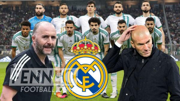 Zidane Belmadi équipe d'Algérie
