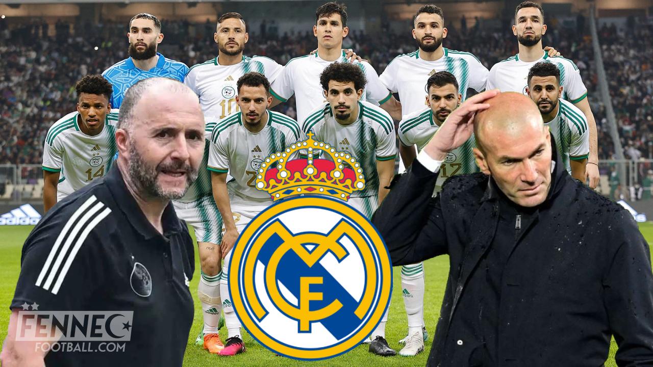 Zidane Belmadi équipe d'Algérie